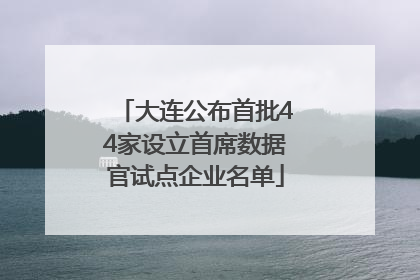大连公布首批44家设立首席数据官试点企业名单